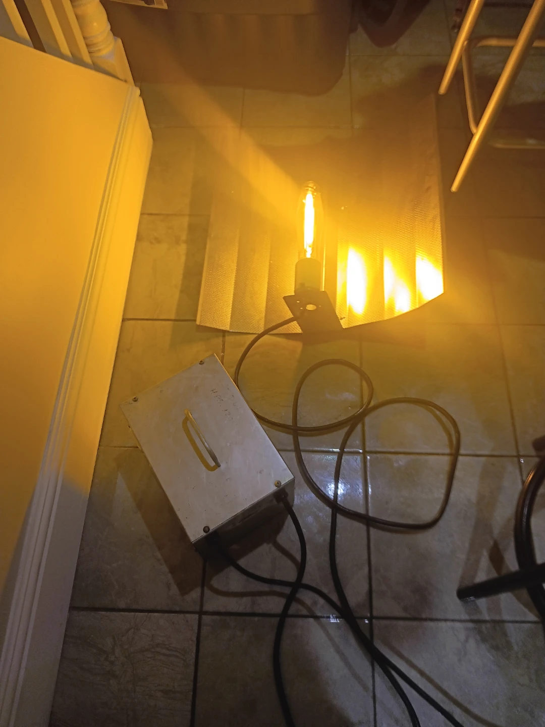 HPS Grow Light System