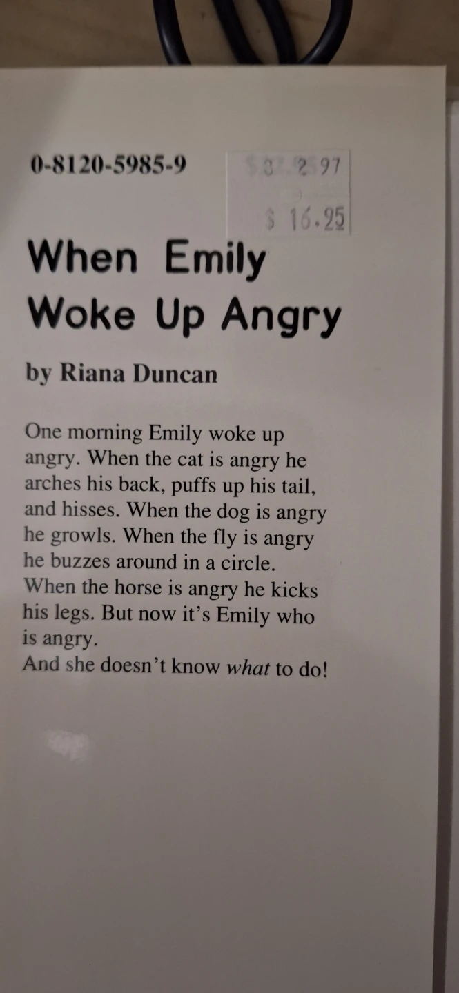 When Emily Woke Up Angry by Riana Dun🏈 - photo 2