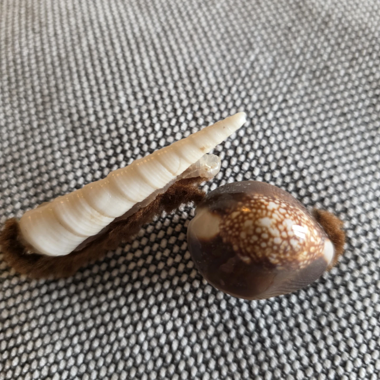 Vintage handmade seashell snail refrigerator magnet. - photo 2