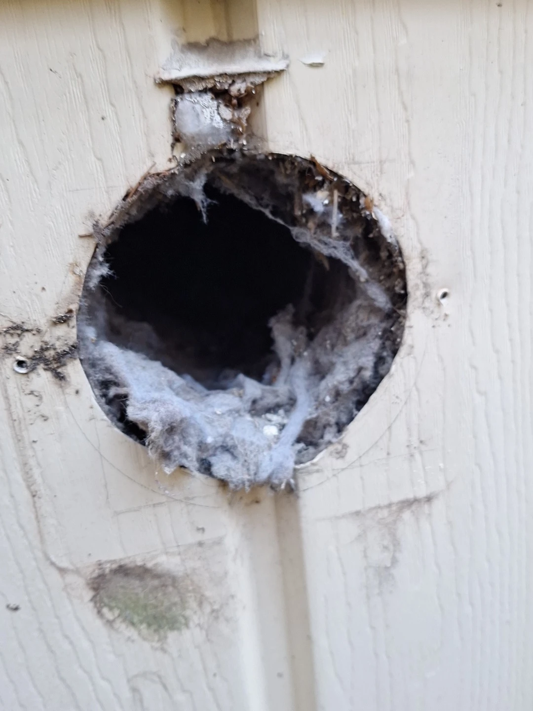 Dryer vent cleaning - photo 4