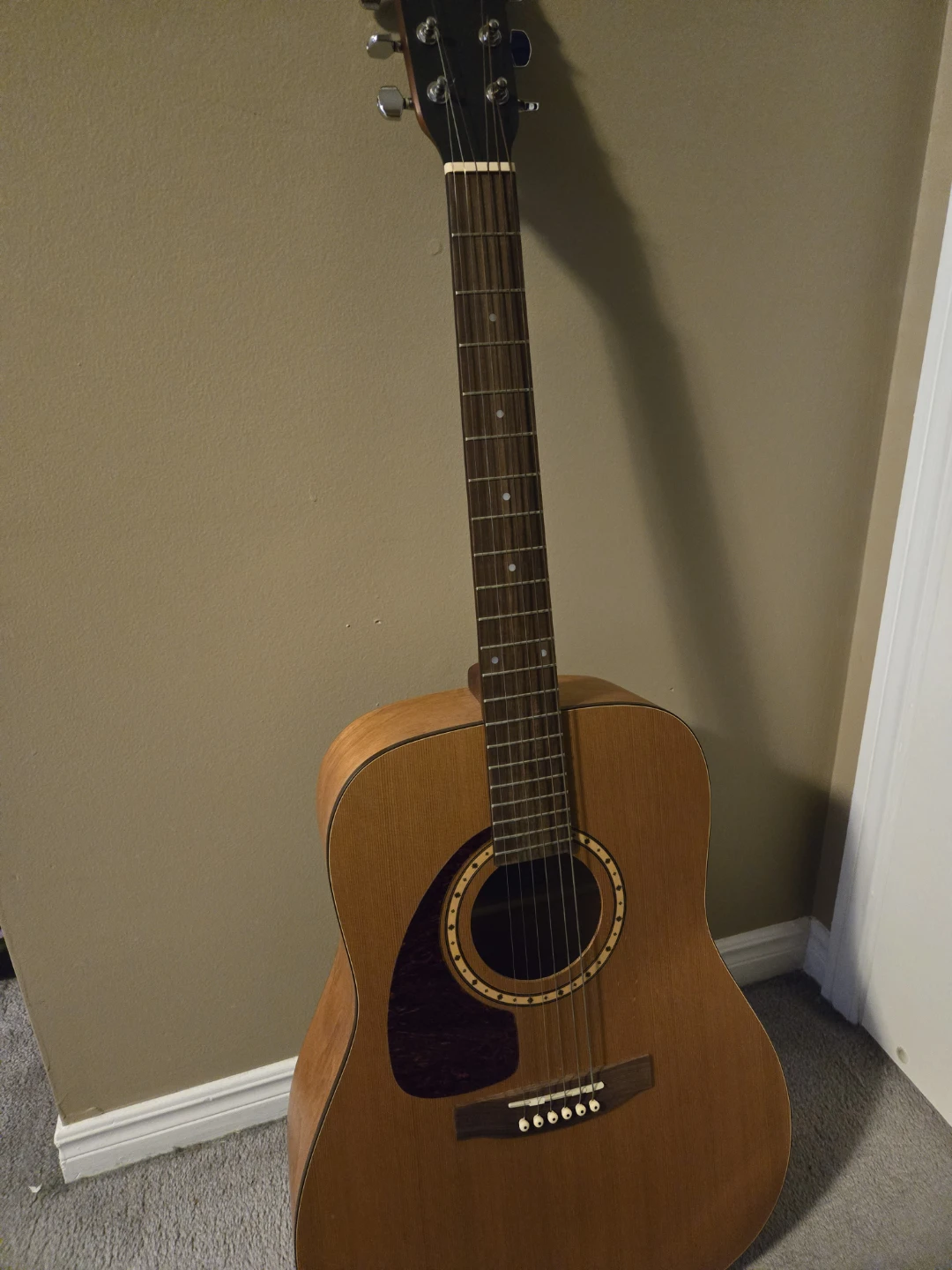 Left Handed Guitar