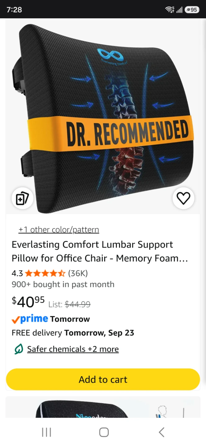 Everlasting Comfort Memory Foam Lumbar Support Pillow