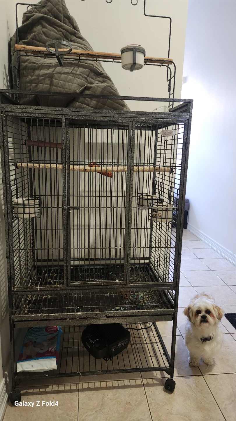 Large parrot cage for sale
