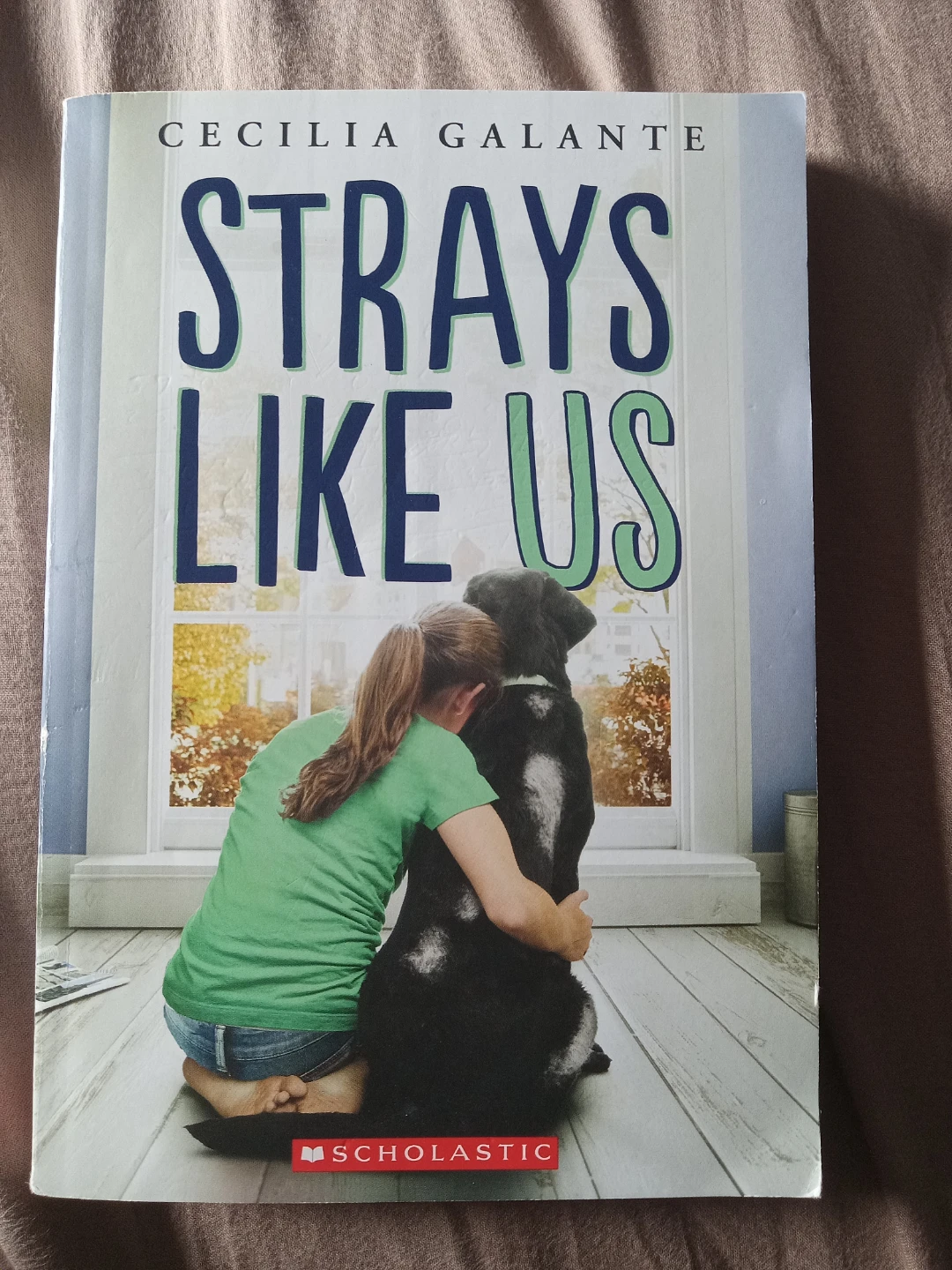 Strays Like Us by Cecilia Galante
