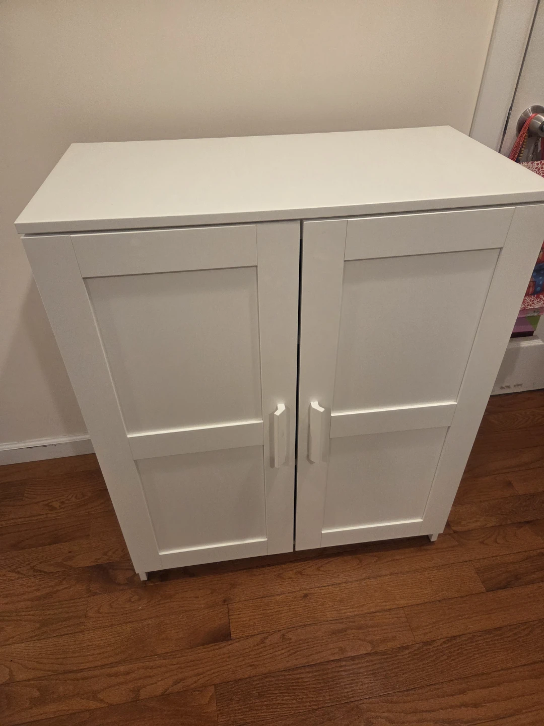 White 2-Door Storage Cabinet with Shelves