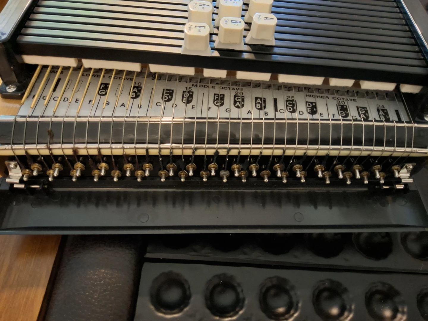 Autoharp Samick - photo 3