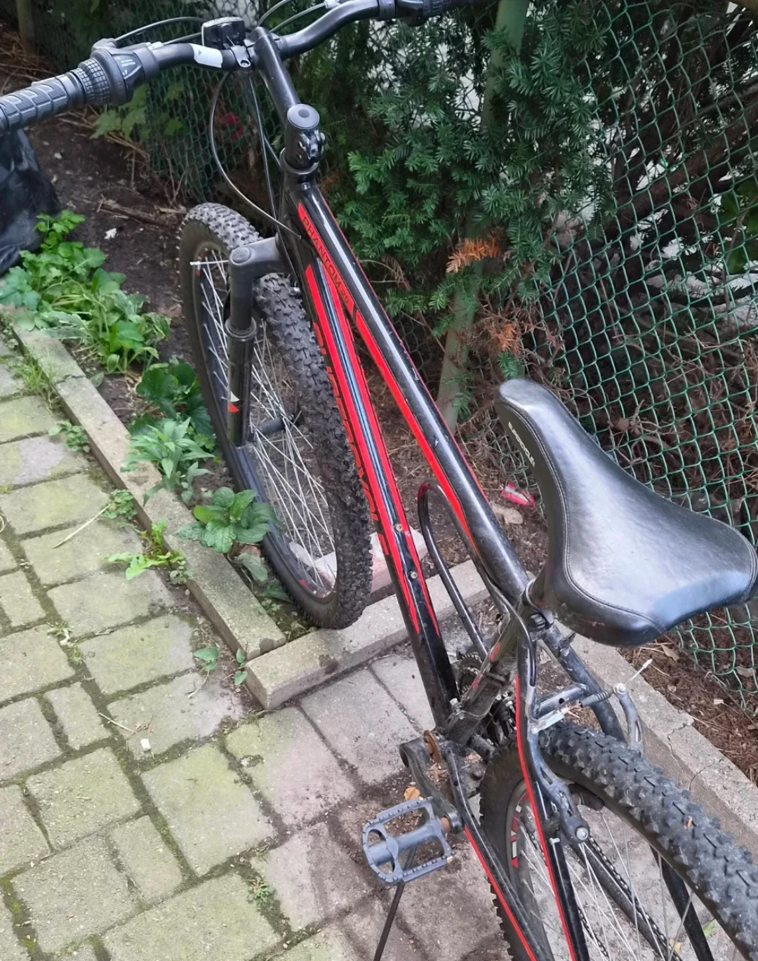Men's bike