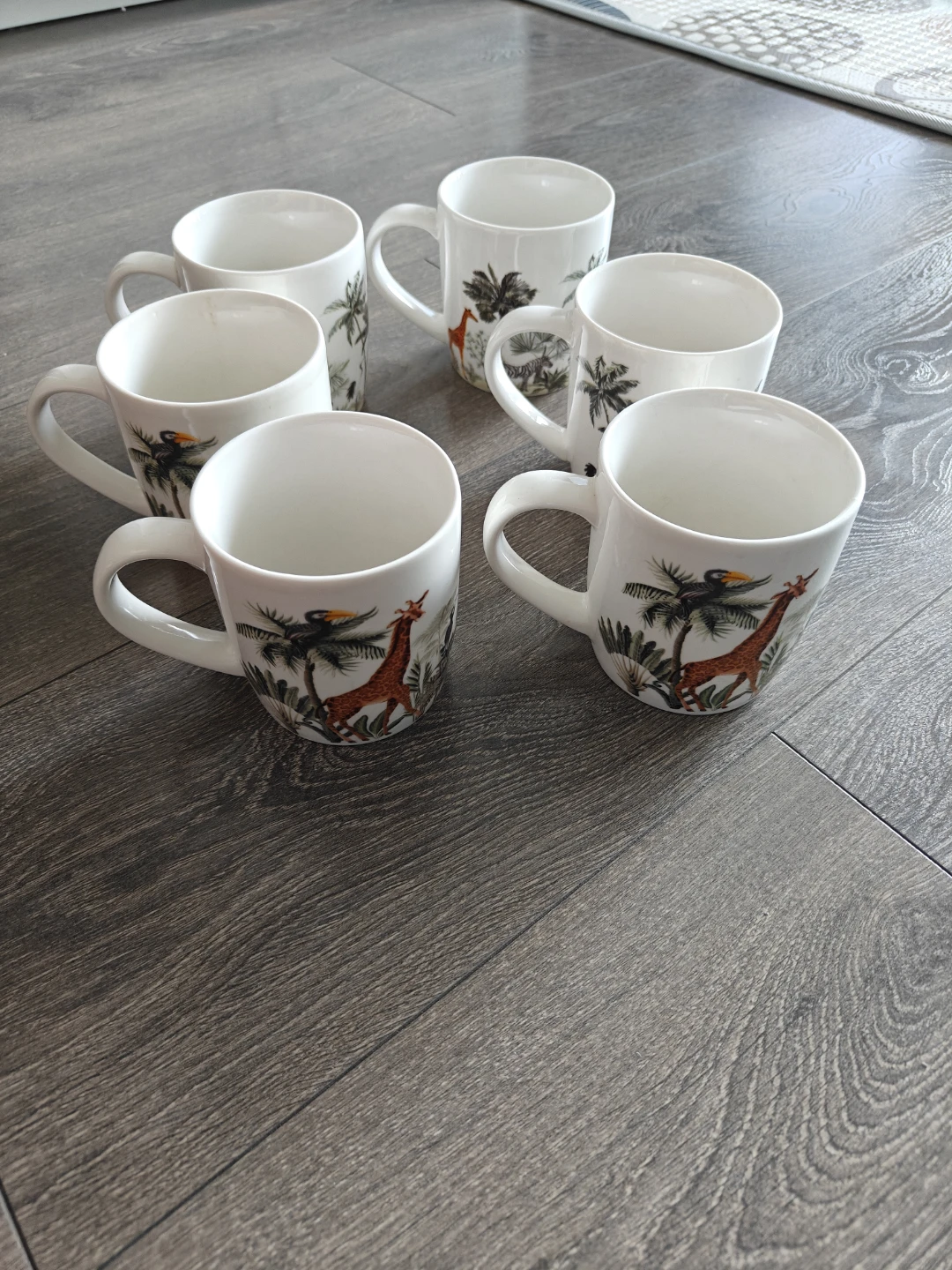 Set of 6 Safari Print Coffee Mugs