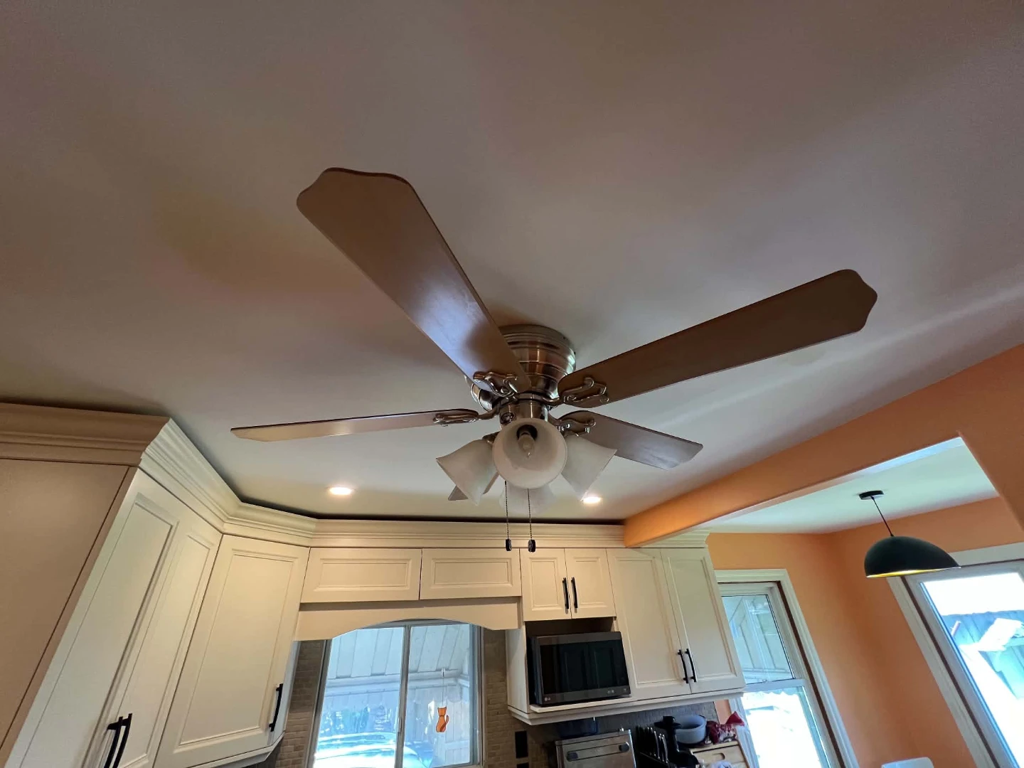 Ceiling Fan with Lights