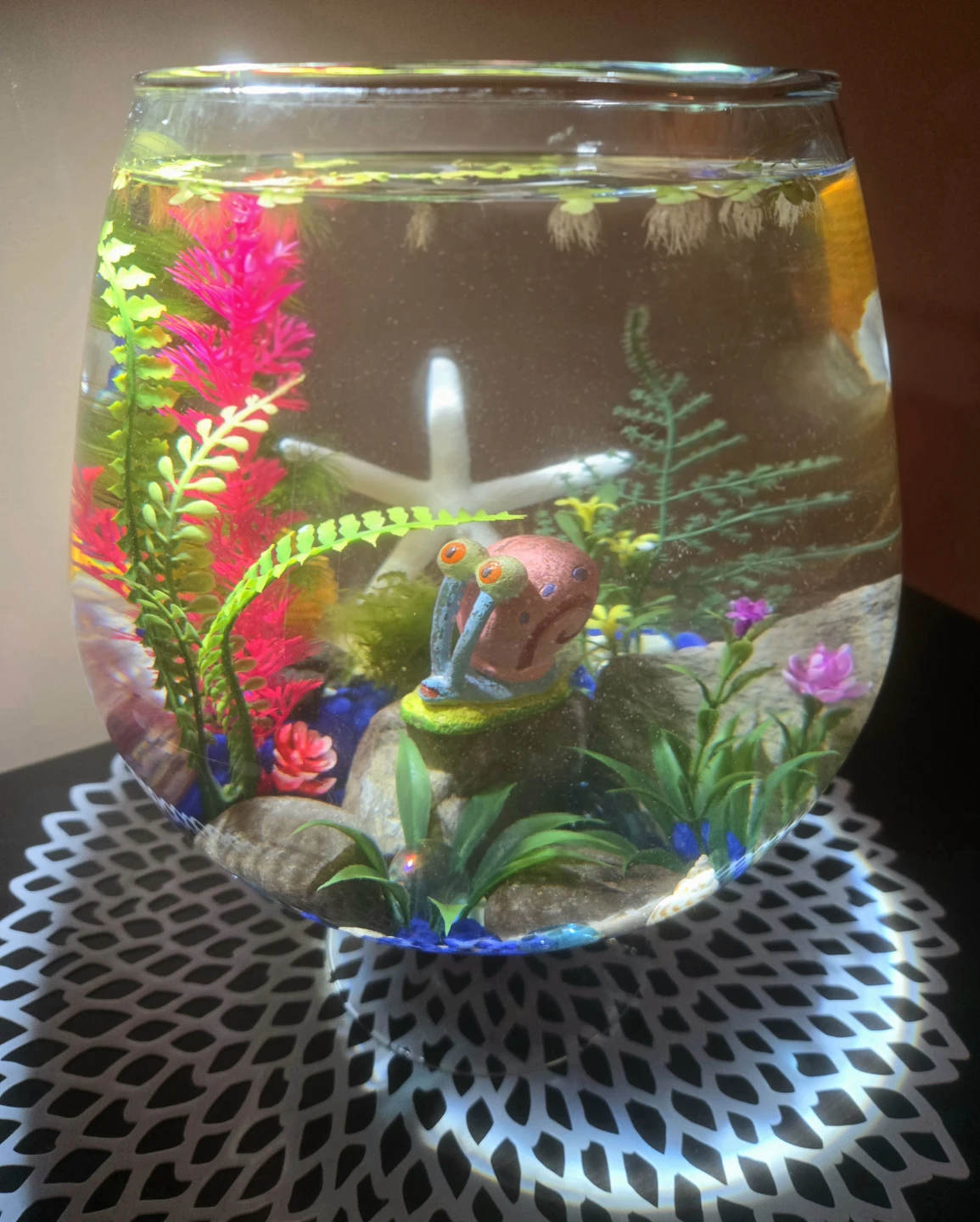 Glass-Shaped 2 Gal Aquarium - photo 2
