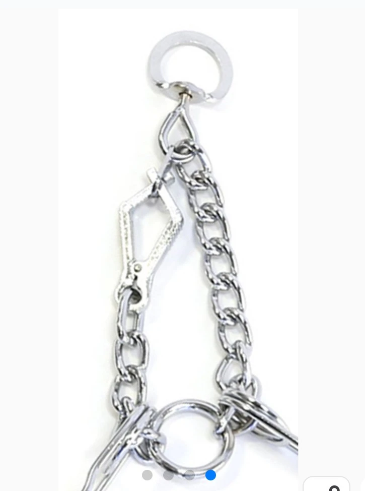 Pet Champion Pronged Control Metal Training Collar, Large - photo 3