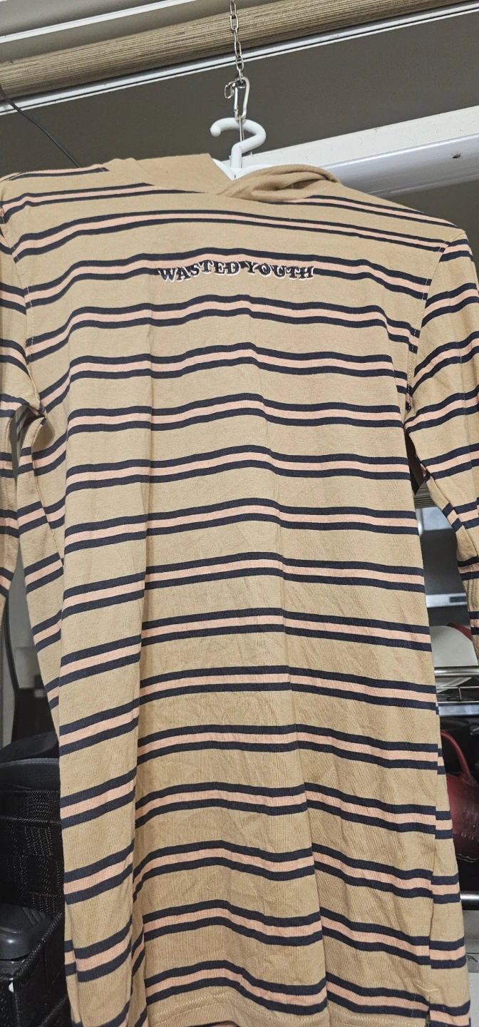 Wasted Youth Striped Hoodie