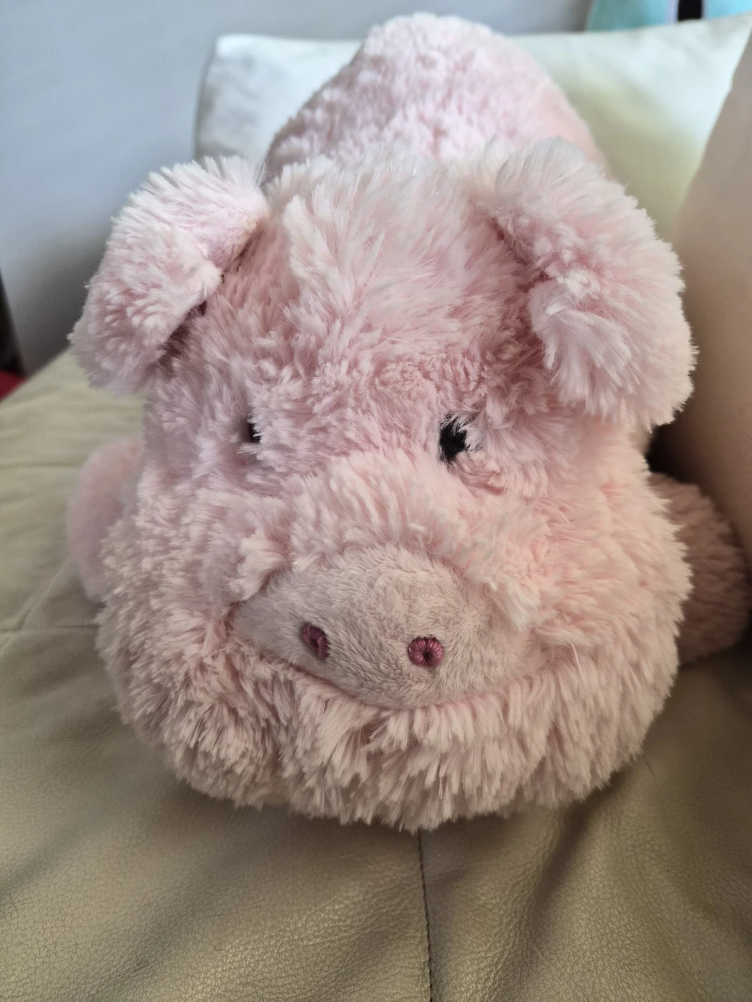 Pink Plush Pig Toy