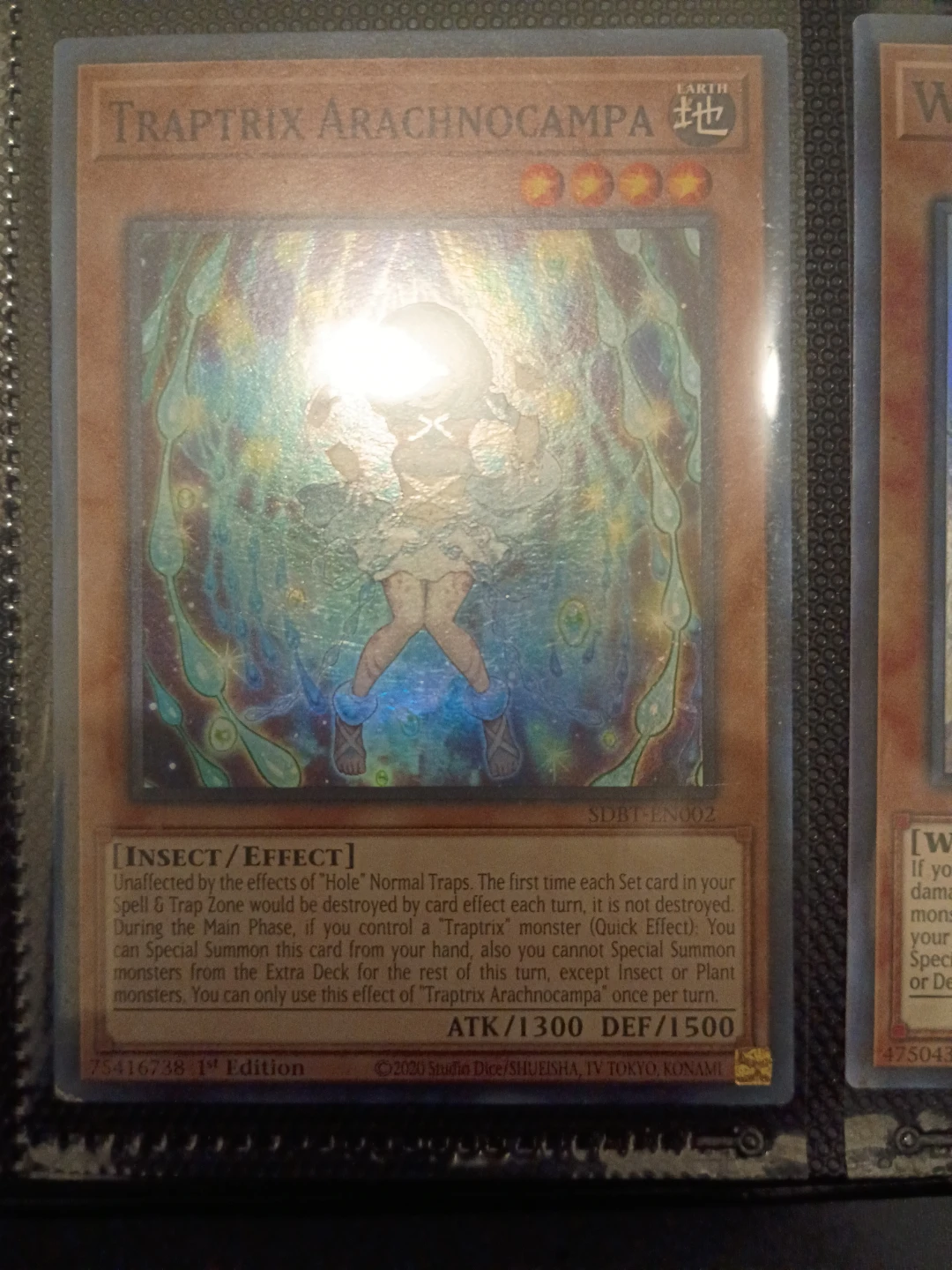 Traptrix Arachnocampa Yu-Gi-Oh! Card🏈