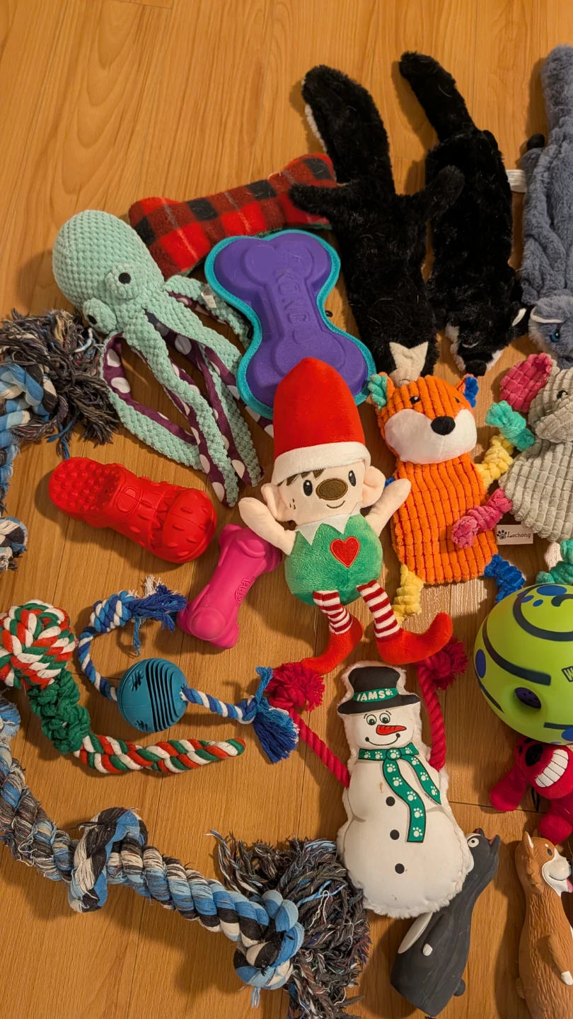 Large Collection of Assorted Dog Toys (Almost All Brand New) - photo 3