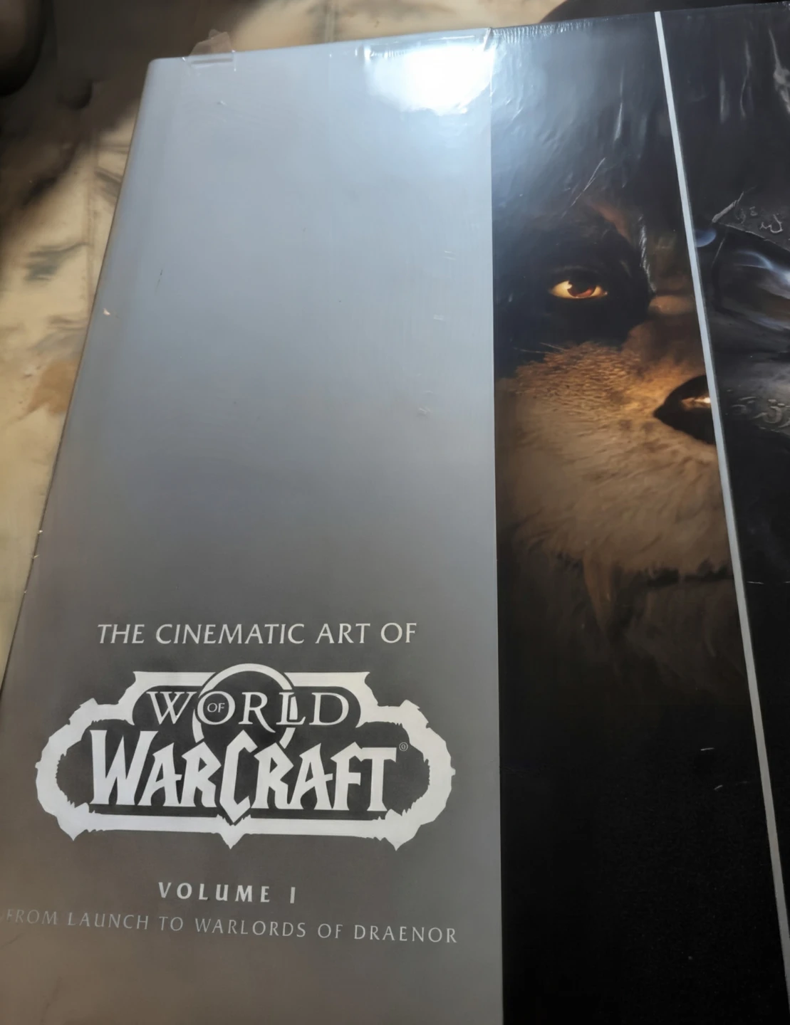 The Cinematic Art , World Of Warcraft Volume 1.  240 pages.