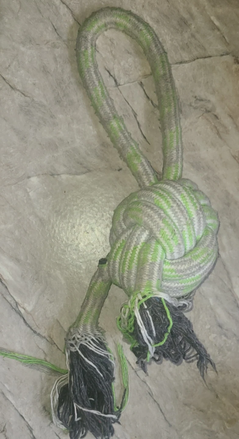 Dog Rope Toy 🐕🐶