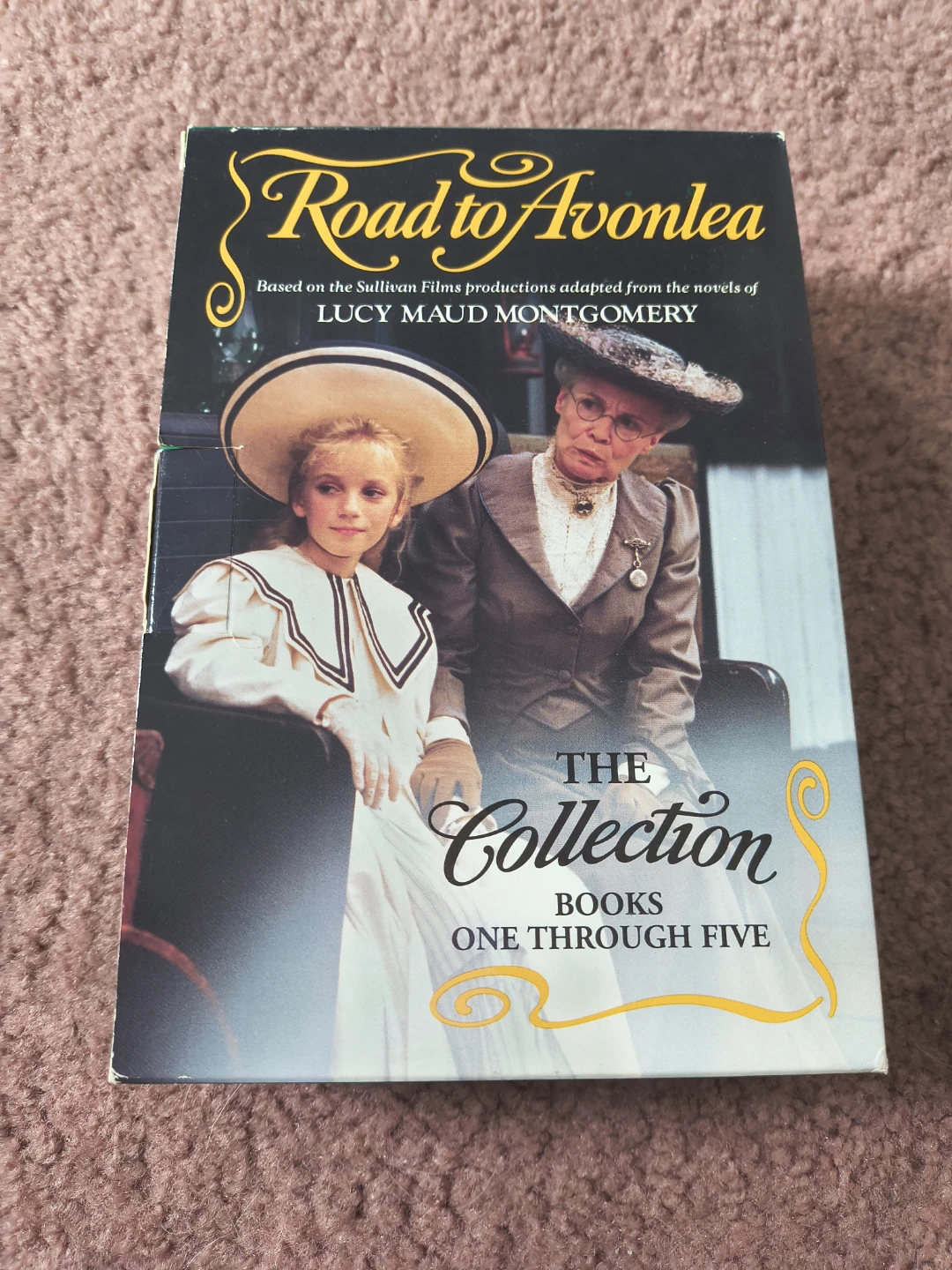 Road to Avonlea Collection Books 1-5🏈