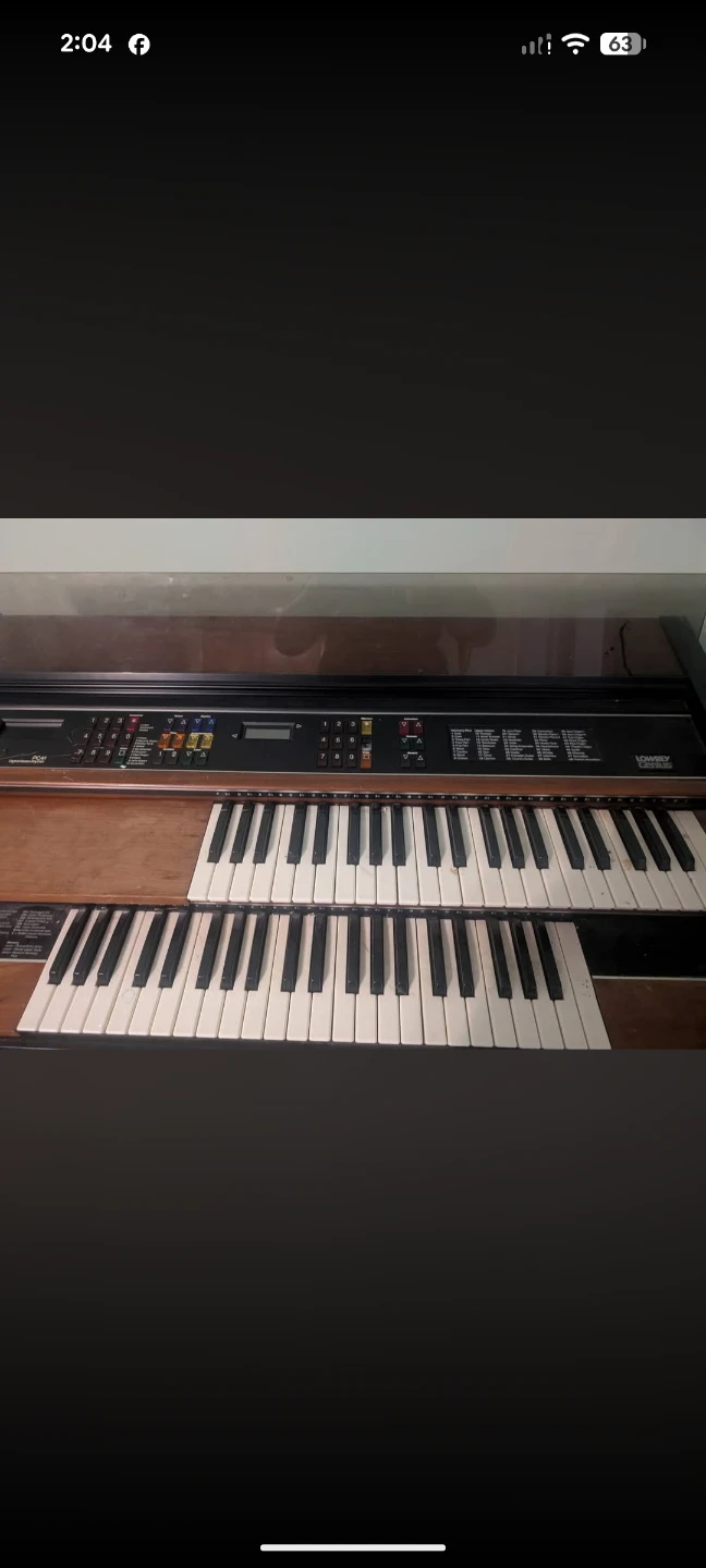 FREE ELECTRIC ORGAN - photo 2