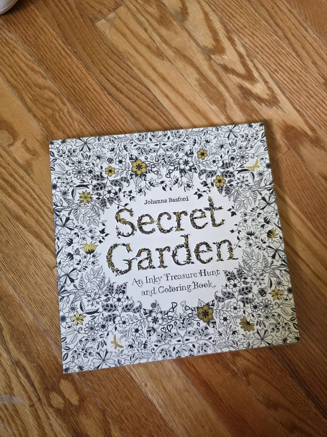 Secret Garden Colouring Book by Johanna Basford