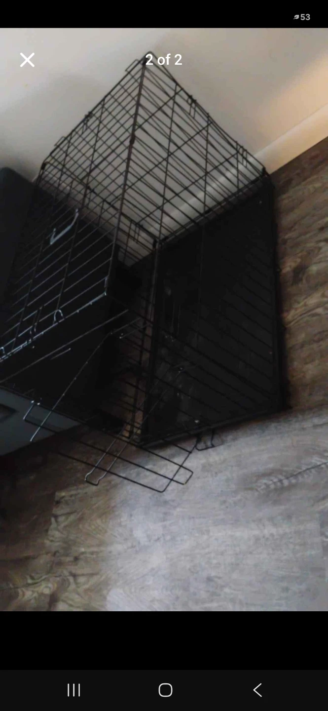Large Collapsible Metal Pet Crate