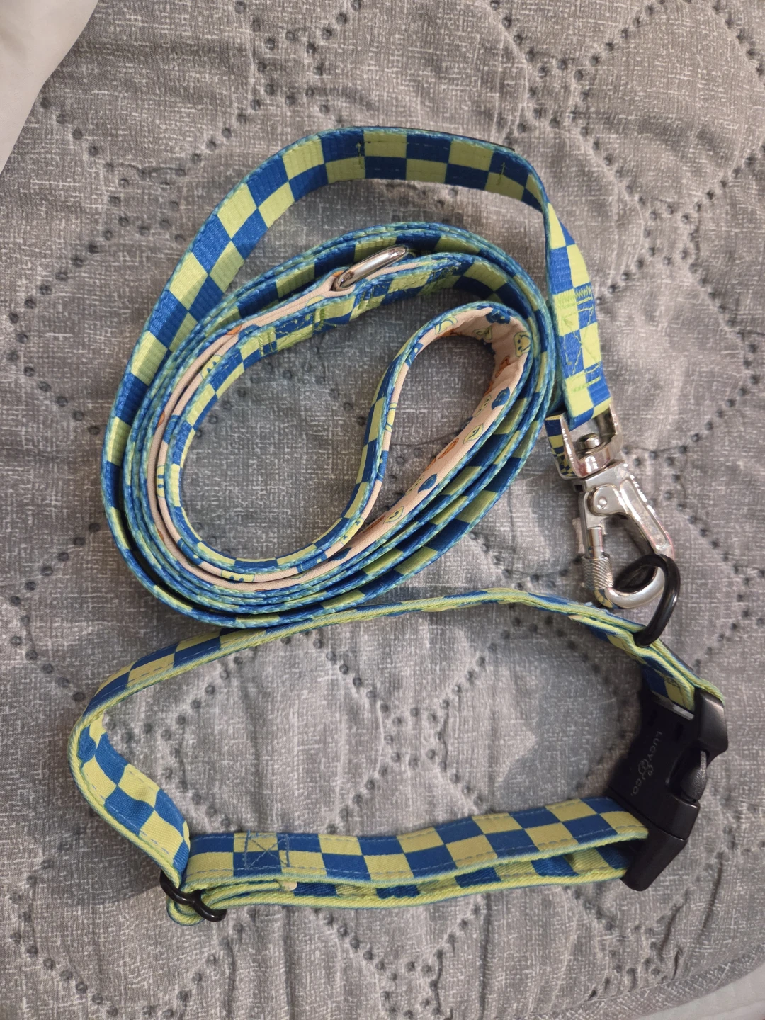 Lucy & Co. Dog Collar and Leash Set - photo 2