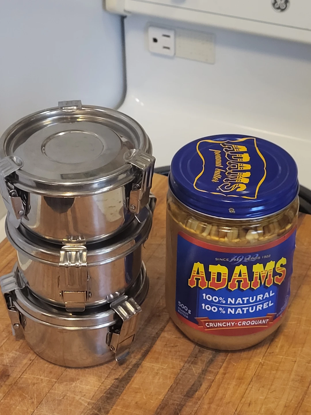 Stainless Steel Containers (Set of 3)