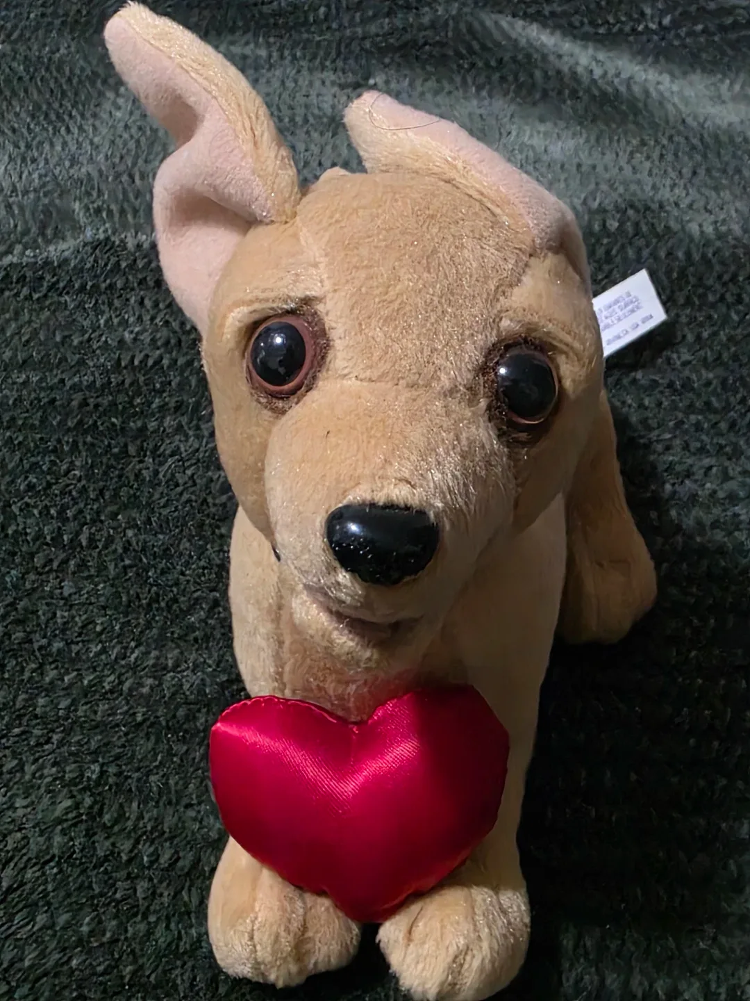 Taco Bell "Yo Quiero" Chihuahua Plush - photo 5