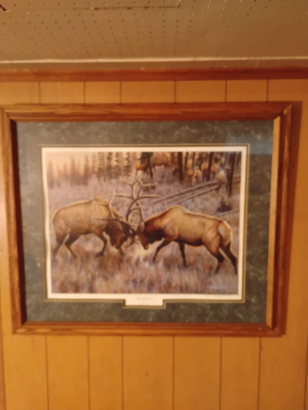 The Battle by Cynthie Fisher Framed Art