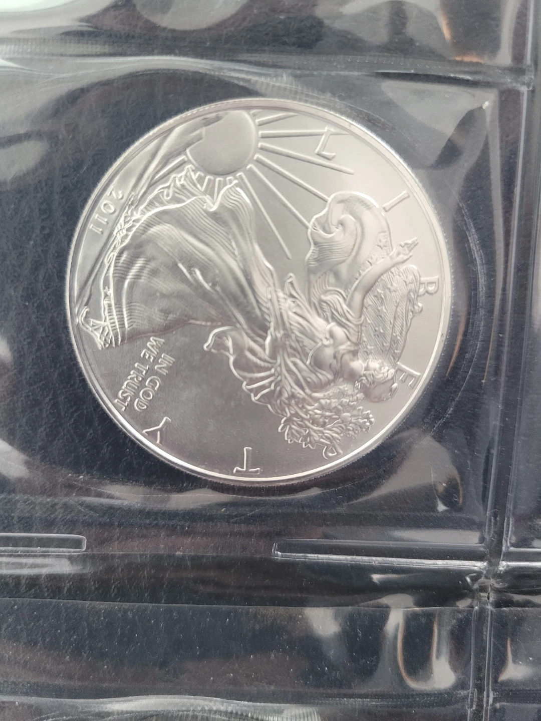 2011 American Silver Eagle Coins (12 Count) - photo 4