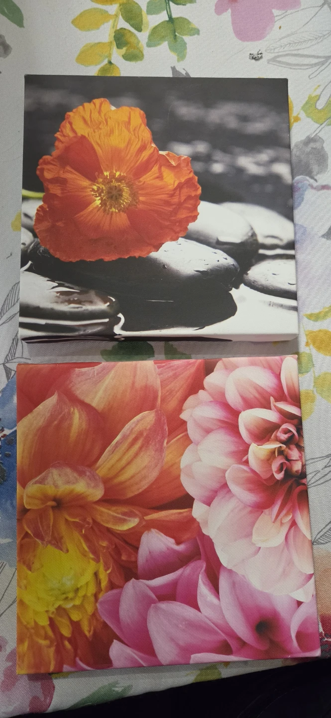 Set of two floral canvas wall art pieces