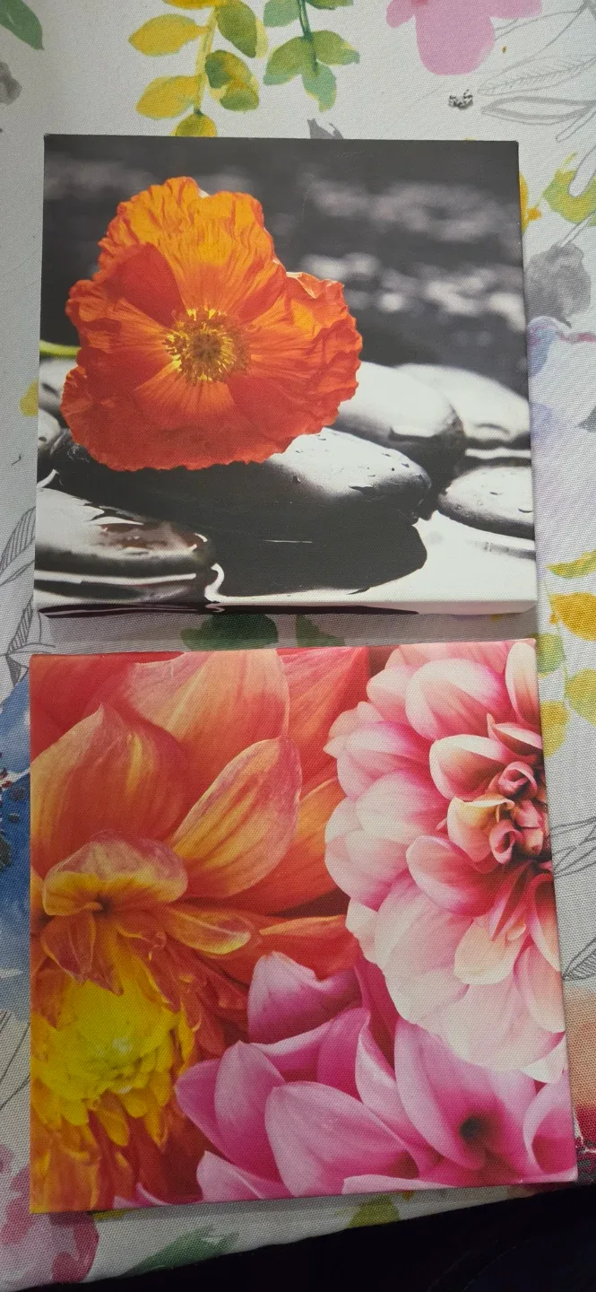 Set of two floral canvas wall art pieces