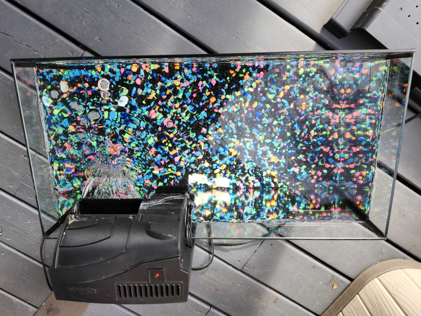 8 Gallon Fish Tank - photo 3