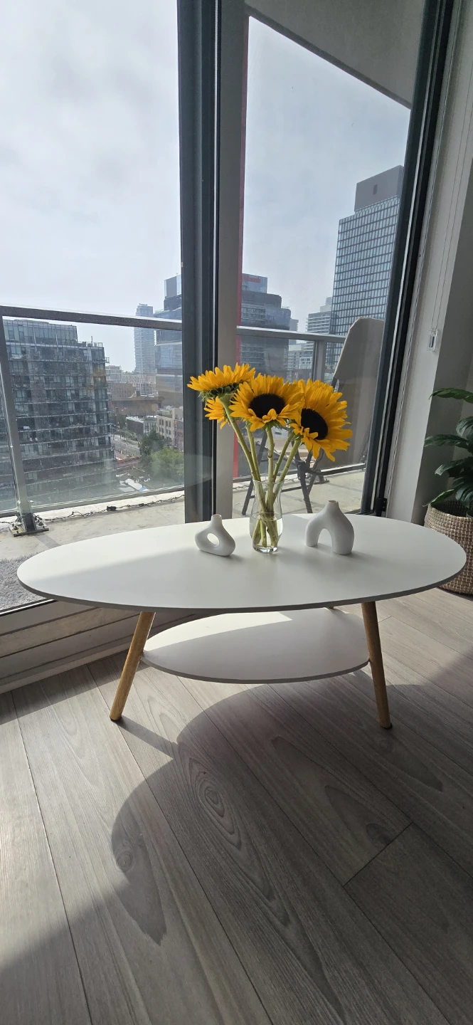 Modern White Oval Coffee Table