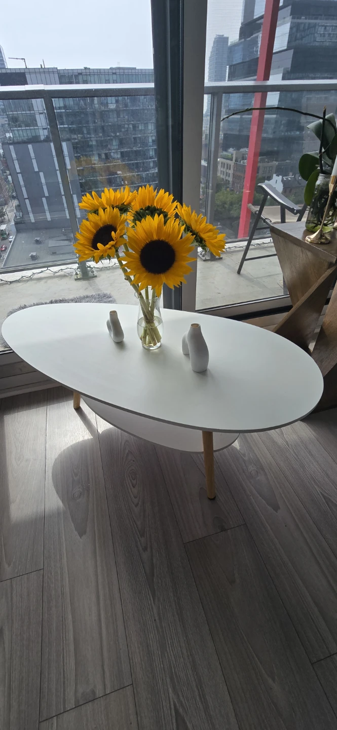 Modern White Oval Coffee Table - photo 2