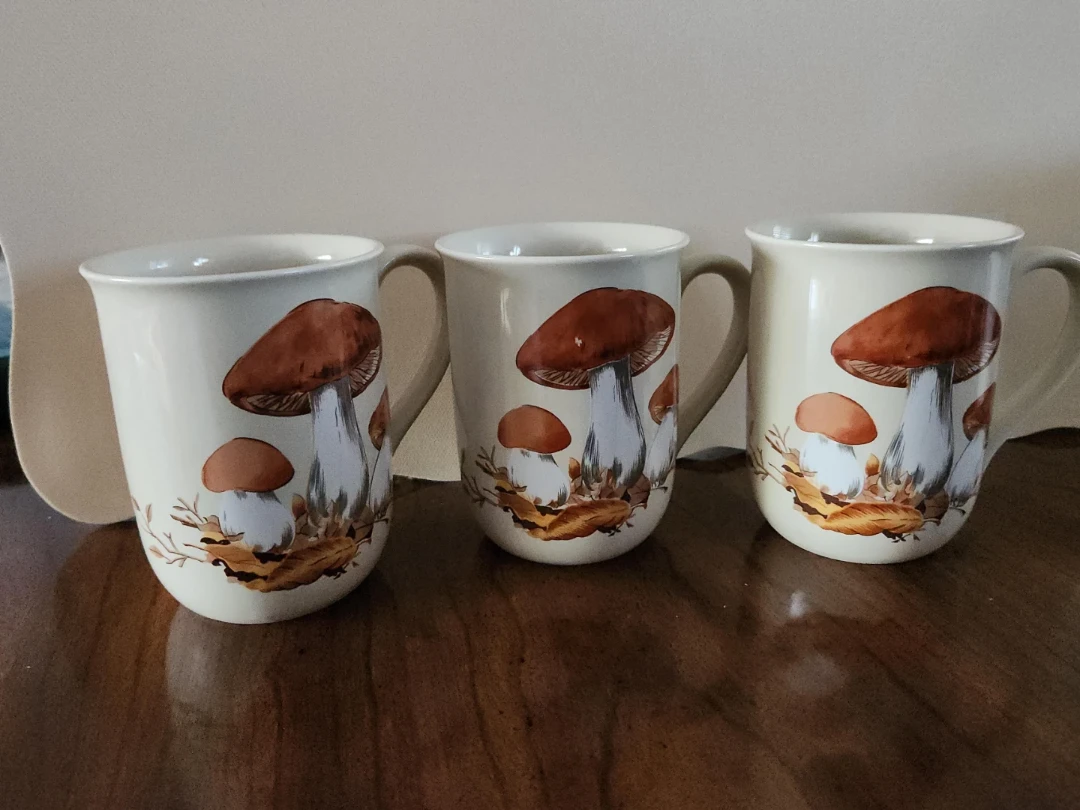 Set of 3 Mushroom Motif Mugs