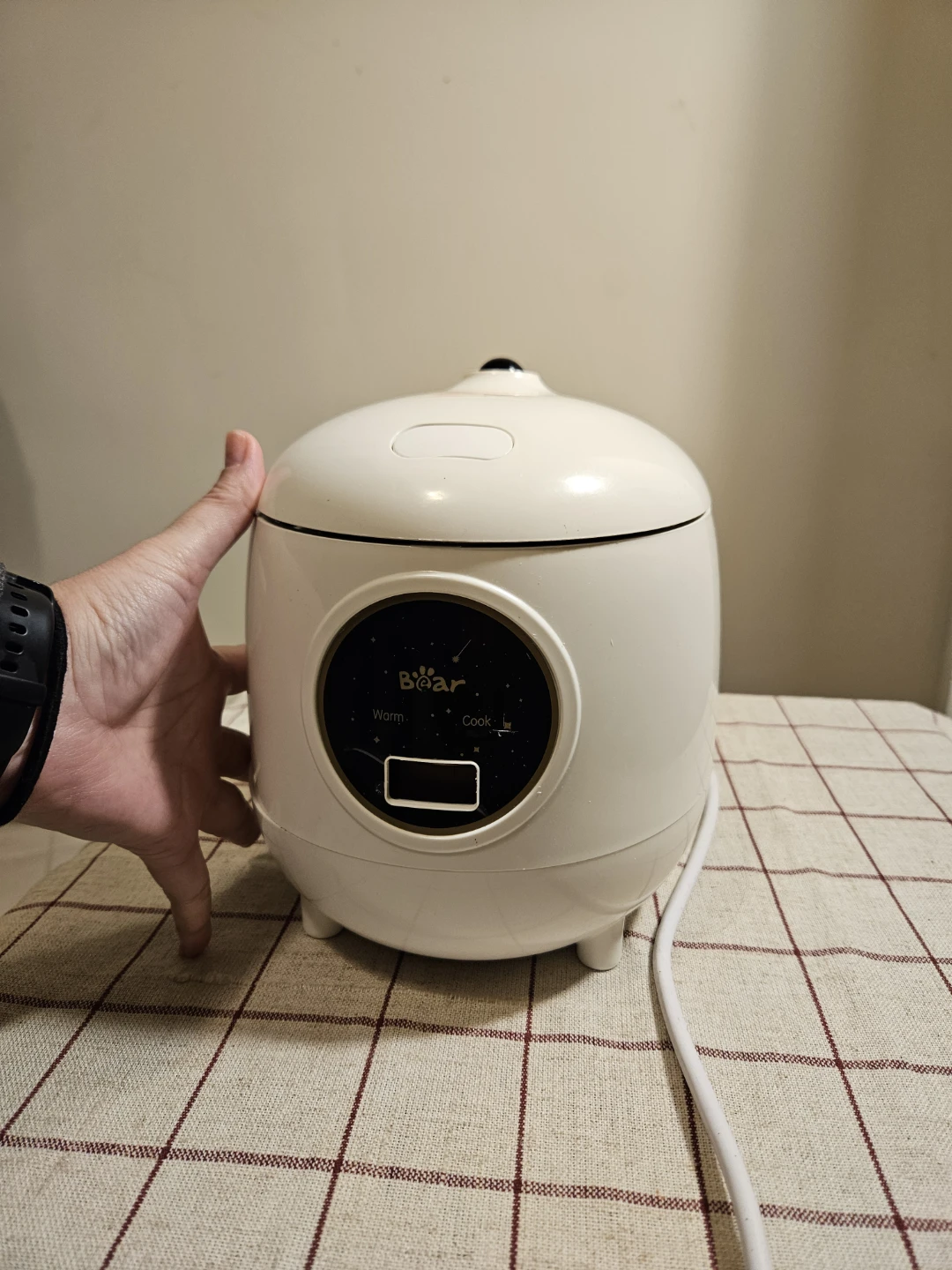Mini rice cooker 1.2L (2 cups uncooked) - photo 4