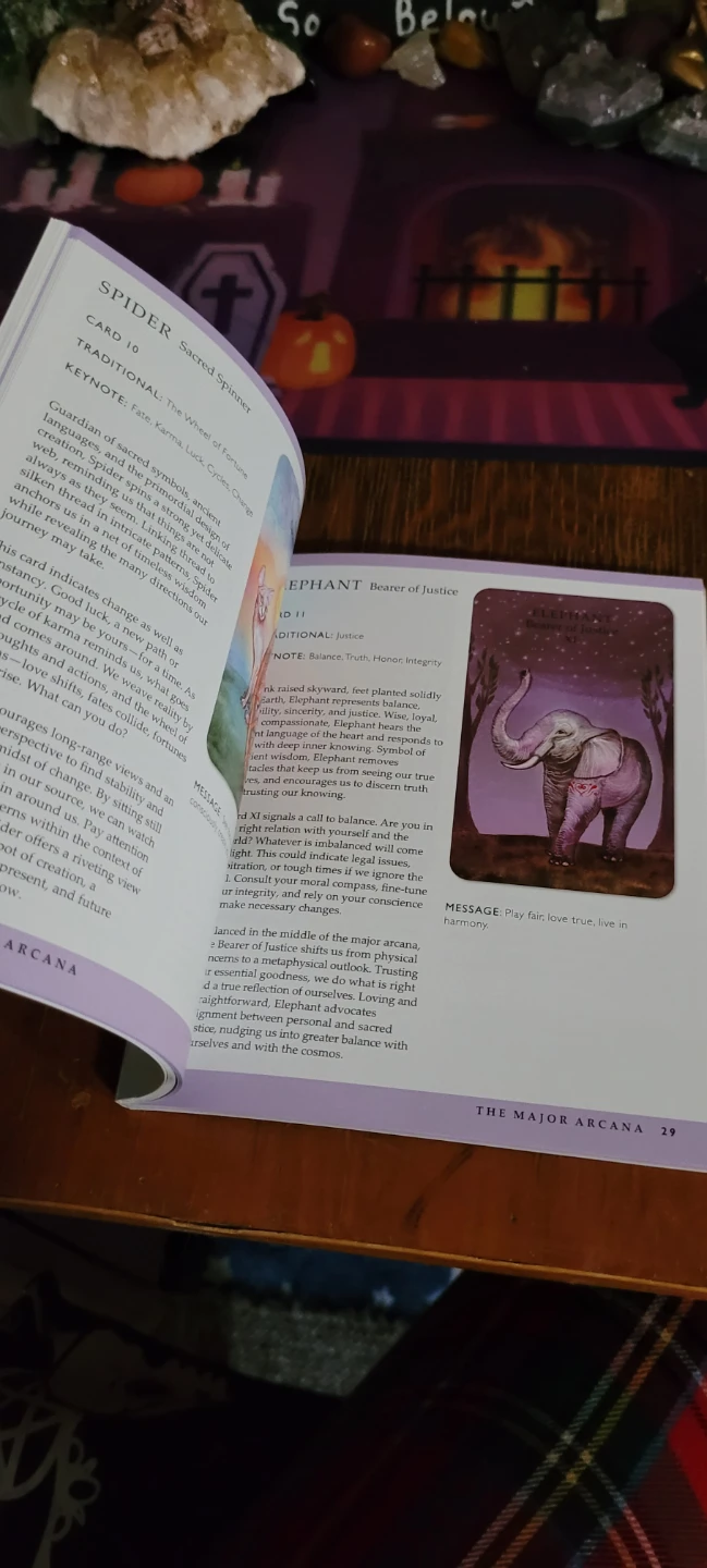 Tarot Cards, Animal Wisdom - photo 4
