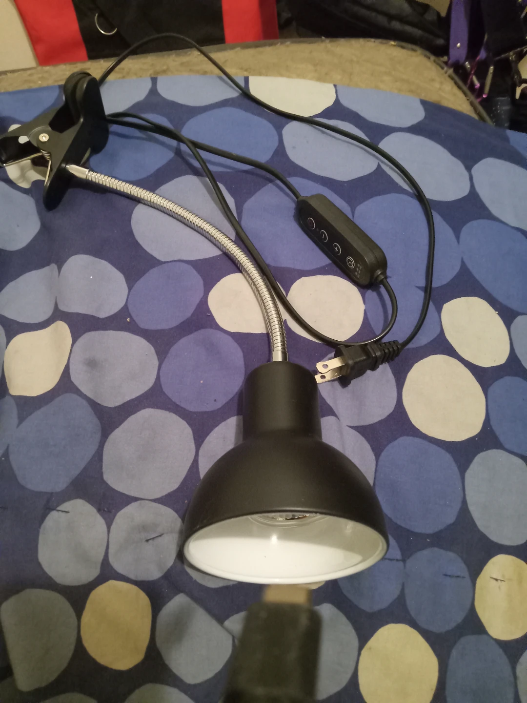 Black Clip-On Desk Lamp for reptiles