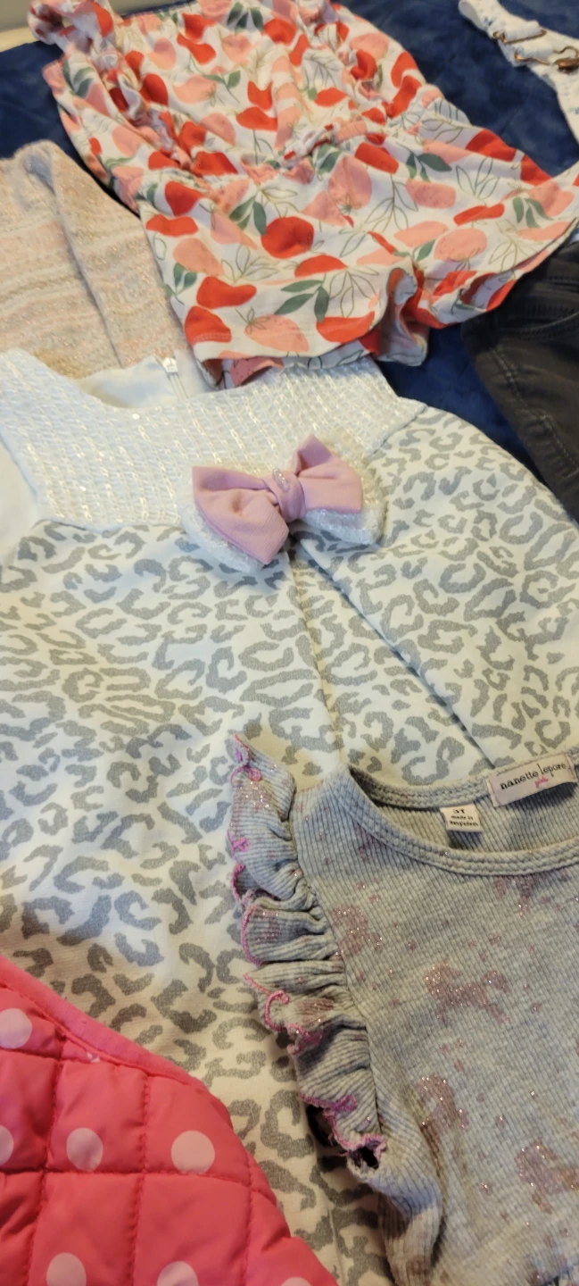 Toddler Girl Clothing Bundle Size 3T - photo 3
