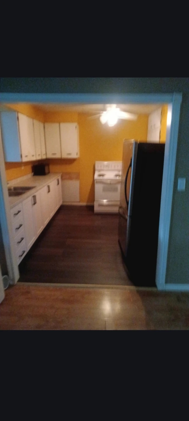 Renovated 2bdrm 1bath for rent Capreol - photo 3
