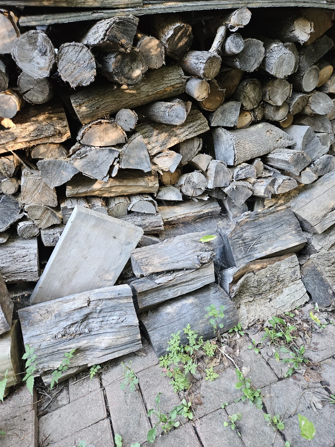 Seasoned Hardwood Firewood - photo 3