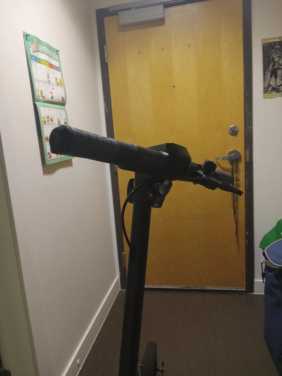 ENVO Electric Scooter - photo 5