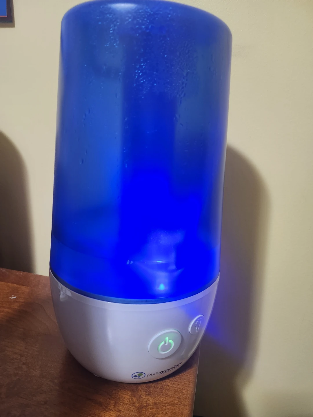 PureGuardian Humidifier