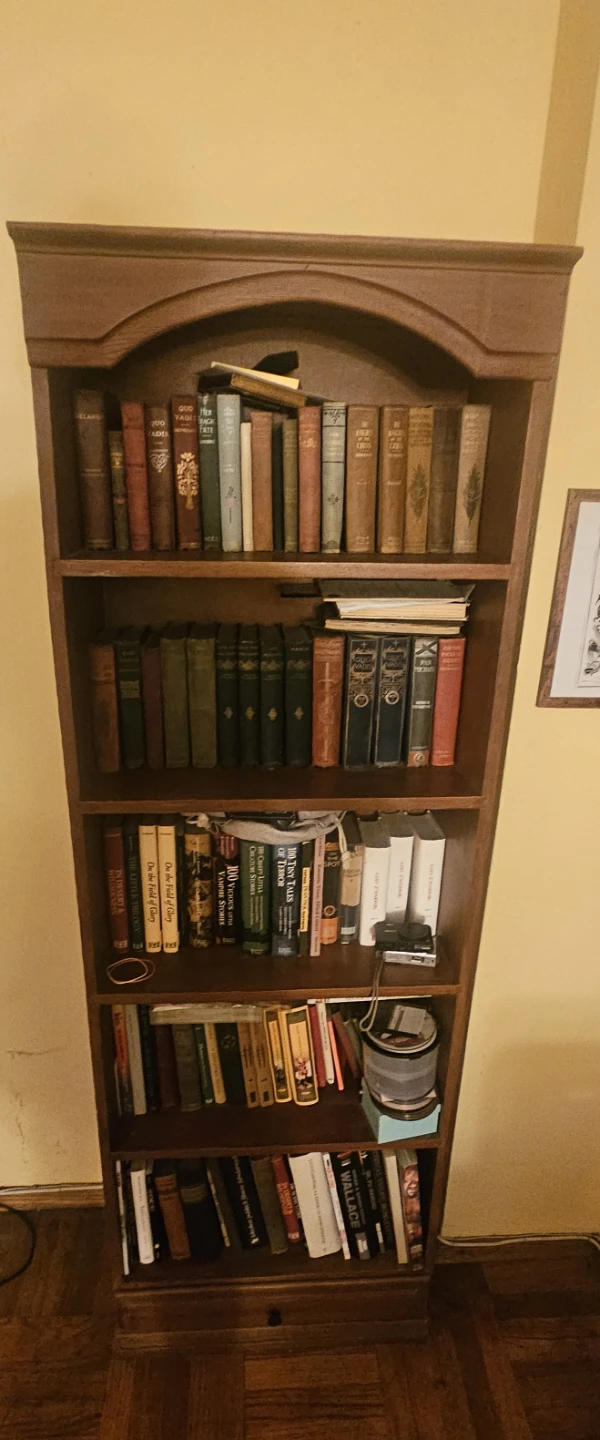 Traditional Wooden Bookcase with bottom drawer