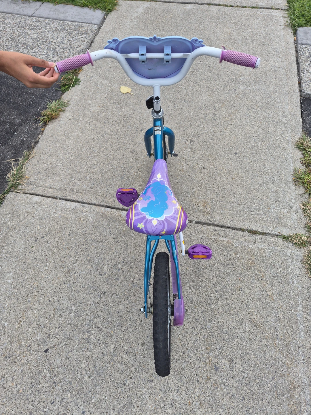 Little girls princess Jasmine bike for sale $65[OBO] - photo 2