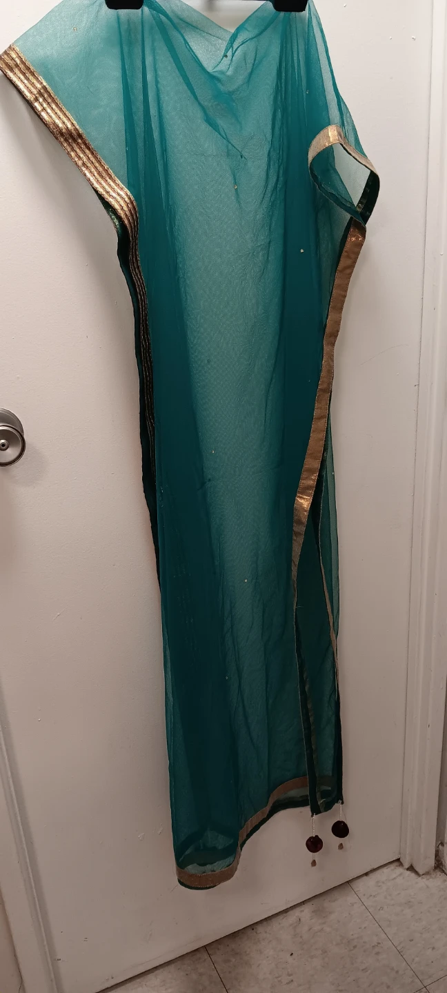 Teal Net Dupatta with Gold Trim