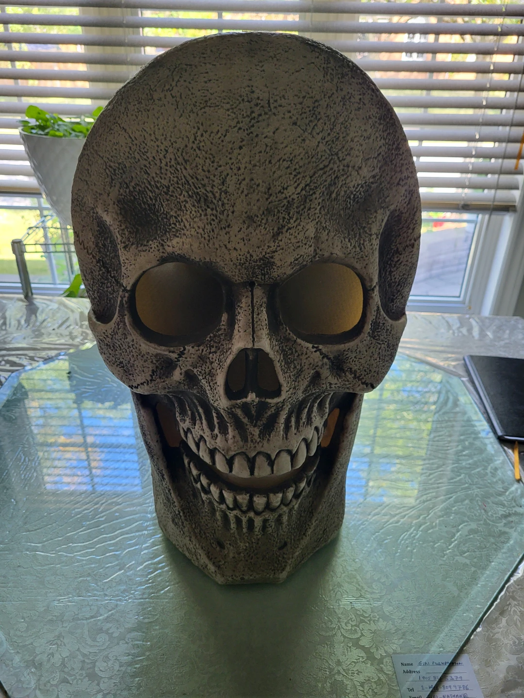 Animated Skull Decoration - photo 2