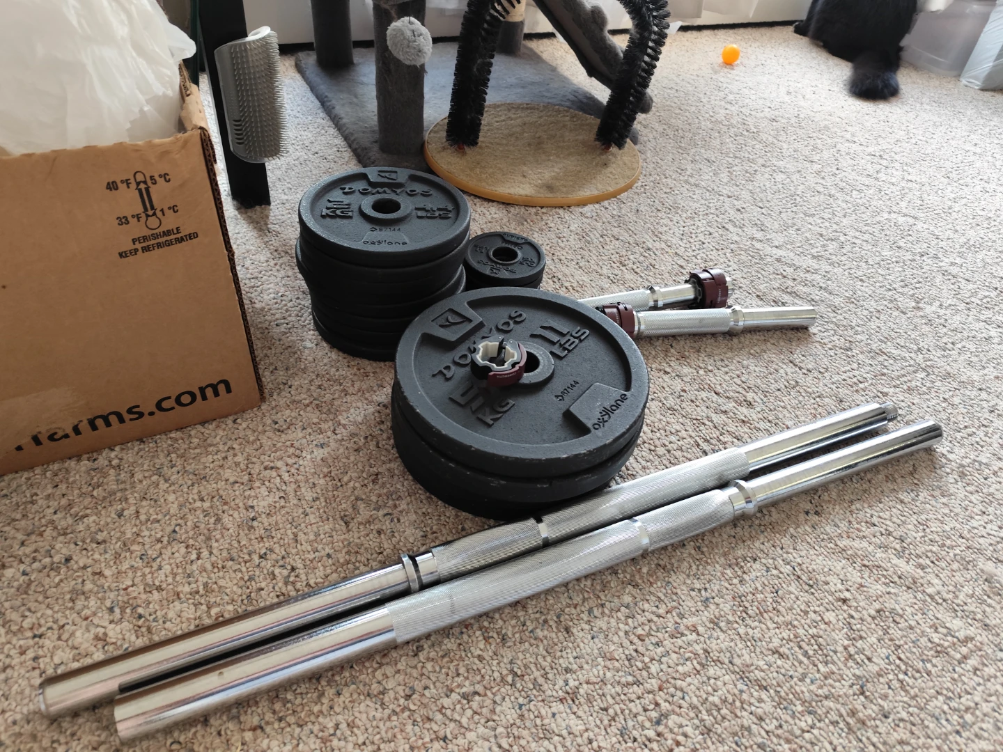 Domyos Adjustable Dumbbell  50kg Set