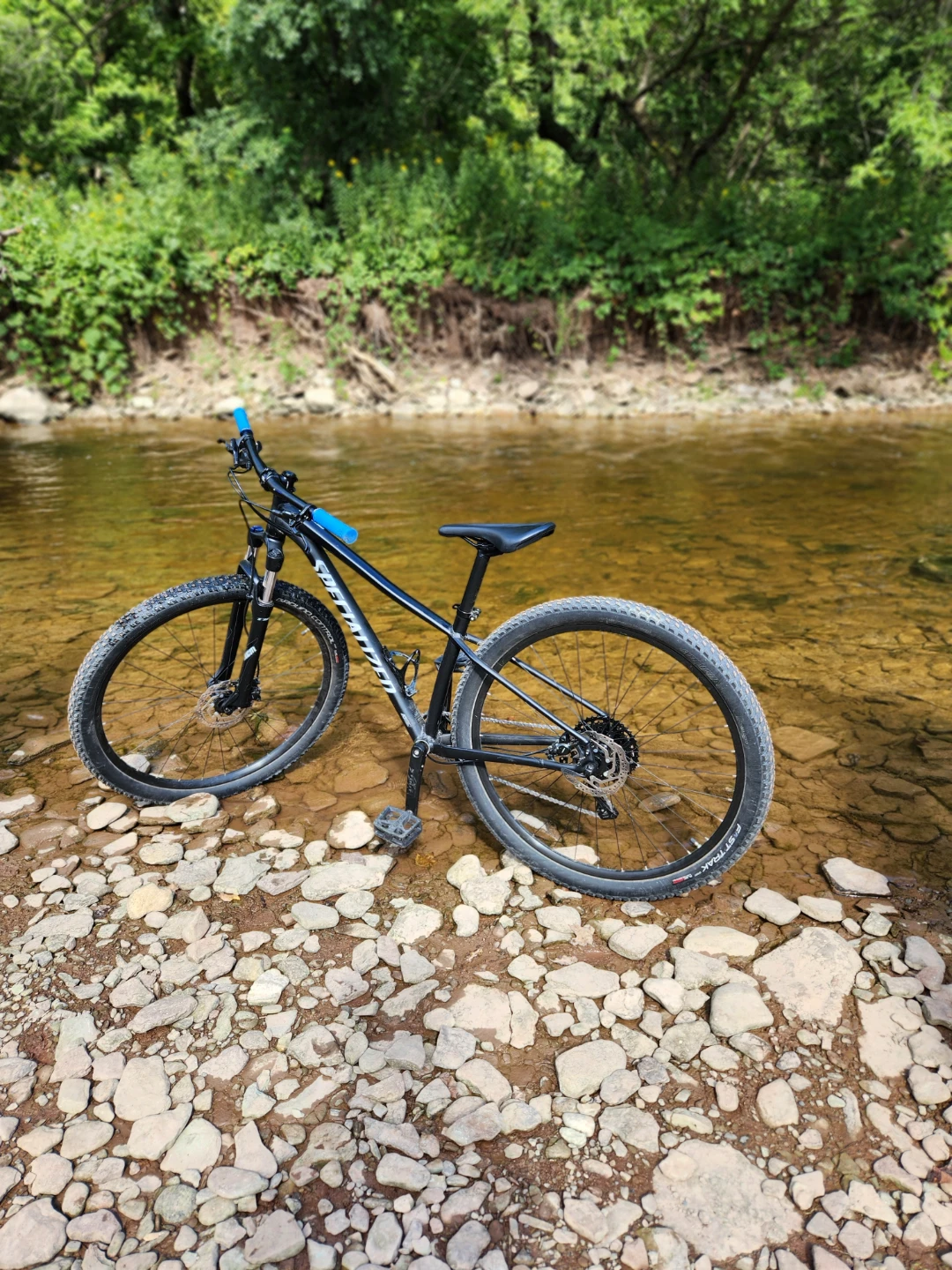 Specialized MTB 29 _  X small - photo 2